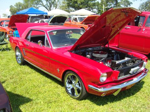 2007 Ford Mustang - A red 1965 Ford Mustang coupe is displayed with its hood open at an outdoor car show.