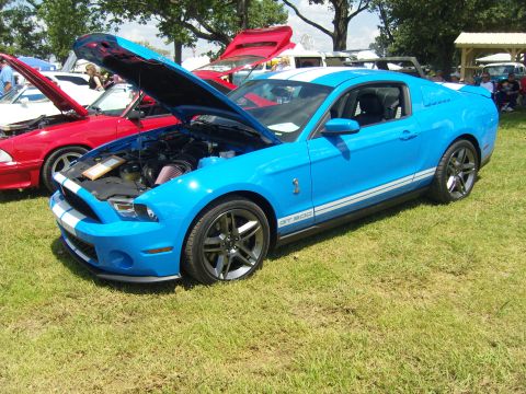 2007 Ford Mustang - Blue 2007 Ford Mustang GT500 at a car show, hood open, with other vehicles visible.