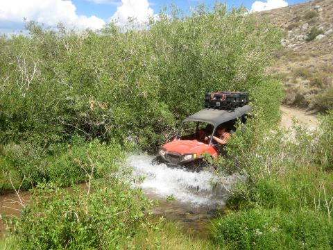 1996 Ford Bronco - Off-road vehicle navigates a stream in a wooded area.
