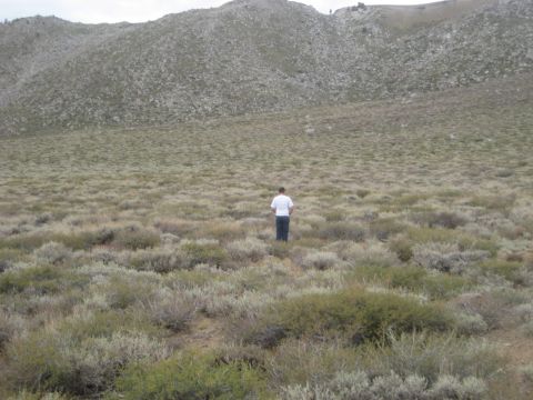 1996 Ford Bronco - A lone figure surveys a desolate, brush-covered terrain beneath a large, rocky mountain.