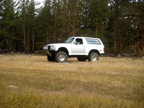 1996 Ford Bronco - Modified 1996 Ford Bronco sits in a dry, grassy field with a dense forest in the background.
