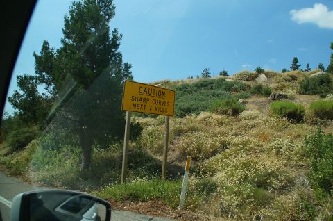 1993 Ford Taurus - A yellow road sign warns drivers of sharp curves ahead for the next seven miles, set against a backdrop of a sunny, hilly landscape.