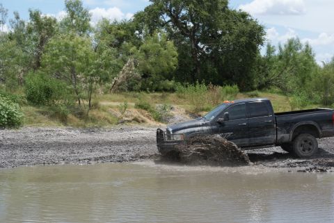 1989 Ford Bronco - A black pickup truck navigates through a muddy, watery terrain with vegetation in the background.