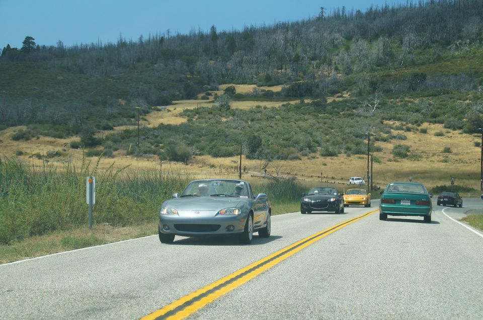 Several cars driving on a highway with a burnt forest in the background