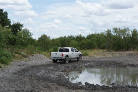 1989 Ford Bronco - A white pickup truck navigates a muddy path surrounded by greenery under a cloudy sky.