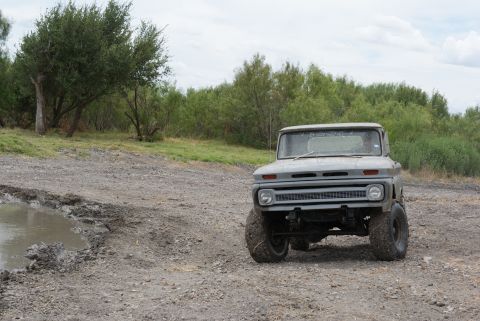 1989 Ford Bronco - A vintage gray pickup truck sits off-road with dense foliage in the background.