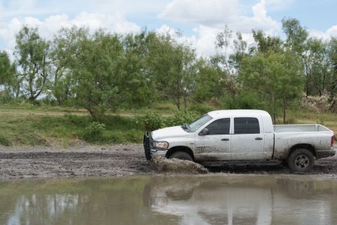 1989 Ford Bronco - White pickup truck is stuck in the mud, with water and trees in the background.