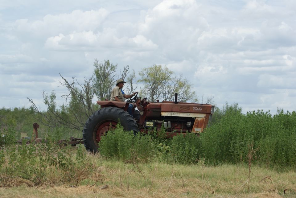 Rusty red tractor with a man driving, side view, in a field with overgrown brush