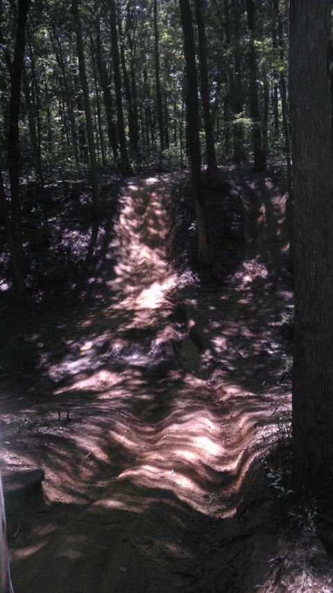1989 Ford Bronco - A sun-dappled dirt path cuts through a thick forest, with shadows creating wavy patterns on the ground.