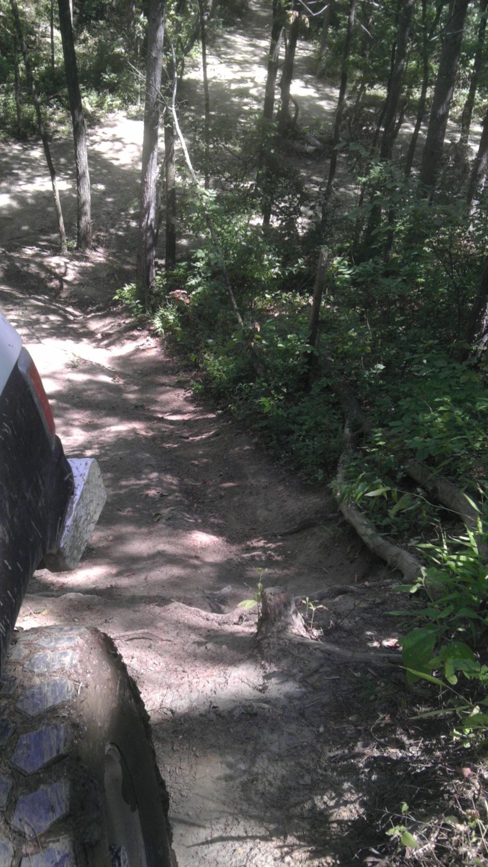 Tire and fender on an off-road trail