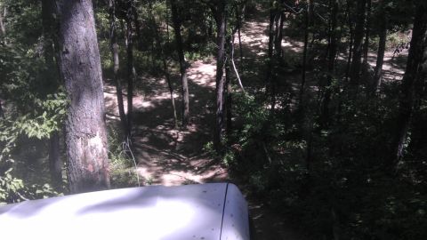 1989 Ford Bronco - View of a wooded area from inside a vehicle.