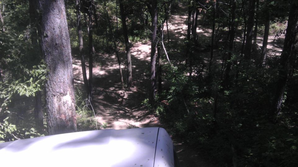 Forest path seen from a vehicle, with trees and shadows