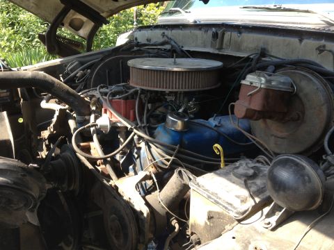 1979 Ford Bronco - Engine bay view of a 1979 Ford Bronco, showing the V8 engine and associated components.