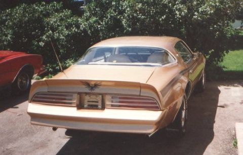 1977 Pontiac Firebird photo