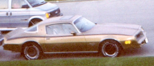 1977 Pontiac Firebird photo