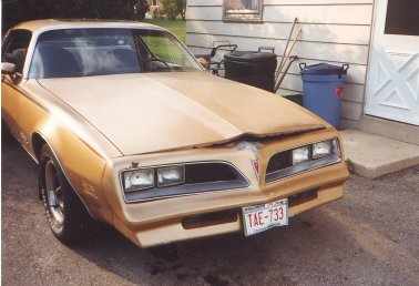 1977 Pontiac Firebird photo