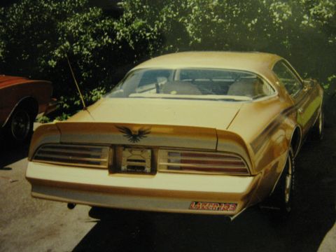 1977 Pontiac Firebird photo