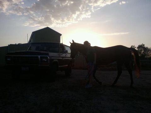 1979 Ford Bronco - A 1979 Ford Bronco is parked beside a horse and person during a sunset scene.