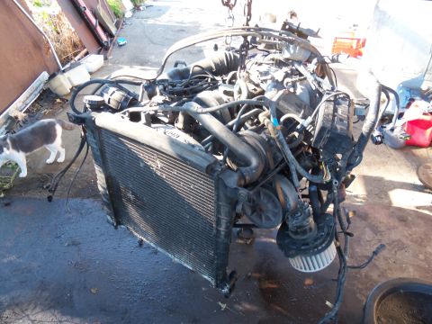 1987 Ford Ranger - An engine and radiator assembly is suspended by a chain, with a cat observing from the side.
