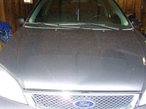 2007 Ford Mustang - Front view of a gray Ford Focus, showing the grille and Ford emblem.