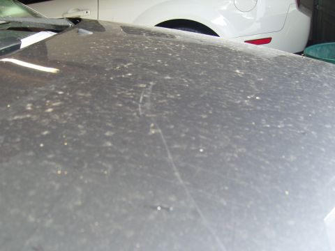2007 Ford Mustang - Dust covers the hood of a car, with the rear of a white vehicle visible in the background.
