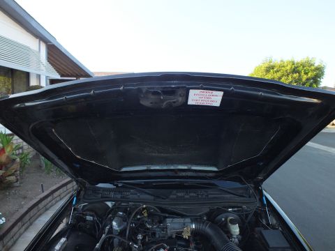 2003 Ford Crown Victoria - Underside of the raised hood showing insulation and a label about required hood pins.