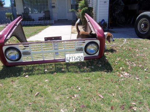 1968 Ford Bronco - The front clip of a 1968 Ford Bronco is displayed on a lawn, with a dog peeking out from under the open hood.