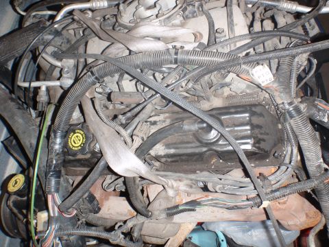 2000 Dodge 1500 - Close-up view of a cluttered engine bay, showing various hoses, wires, and engine components.