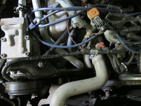 1991 Ford LTD Crown Victoria - Close-up view of an engine bay, showing various hoses and electrical wiring.
