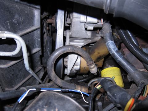 1991 Ford LTD Crown Victoria - Close-up view of engine components, including hoses, belts, and an oil filter, with the word 'TOP' visible.