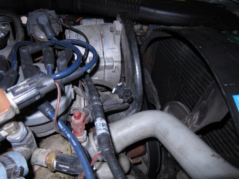 1991 Ford LTD Crown Victoria - Engine bay components including spark plug wires, alternator, radiator, and fan are visible in this close-up view.
