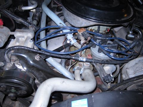 1991 Ford LTD Crown Victoria - Close-up view of an engine bay, blue spark plug wires and a distributor cap.