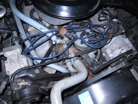 1991 Ford LTD Crown Victoria - Close-up view of an engine bay, showing the distributor cap, spark plug wires, and various hoses.