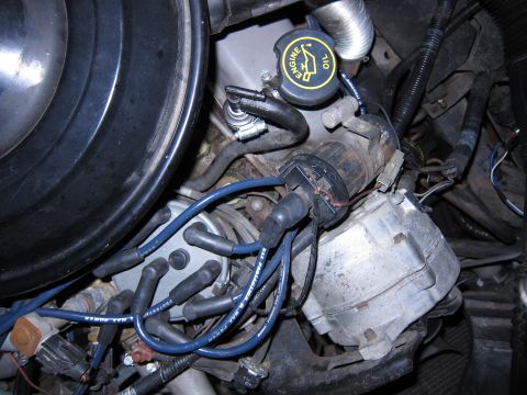 1991 Ford LTD Crown Victoria - Close-up of an engine bay, focusing on the distributor and spark plug wires.