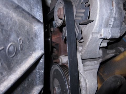 1991 Ford LTD Crown Victoria - Close-up view of the engine belt and alternator assembly.