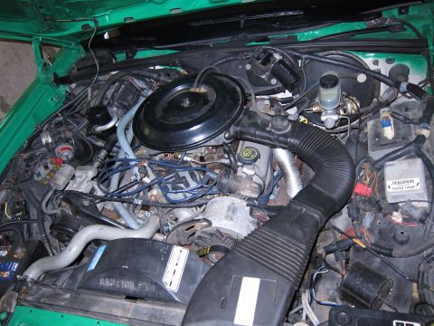 1991 Ford LTD Crown Victoria - The engine compartment of a car, showing the V8 engine and associated components.
