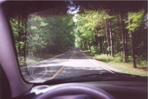2000 Dodge Neon - Driving down a tree-lined road, the view from the driver's seat shows the asphalt stretching ahead.