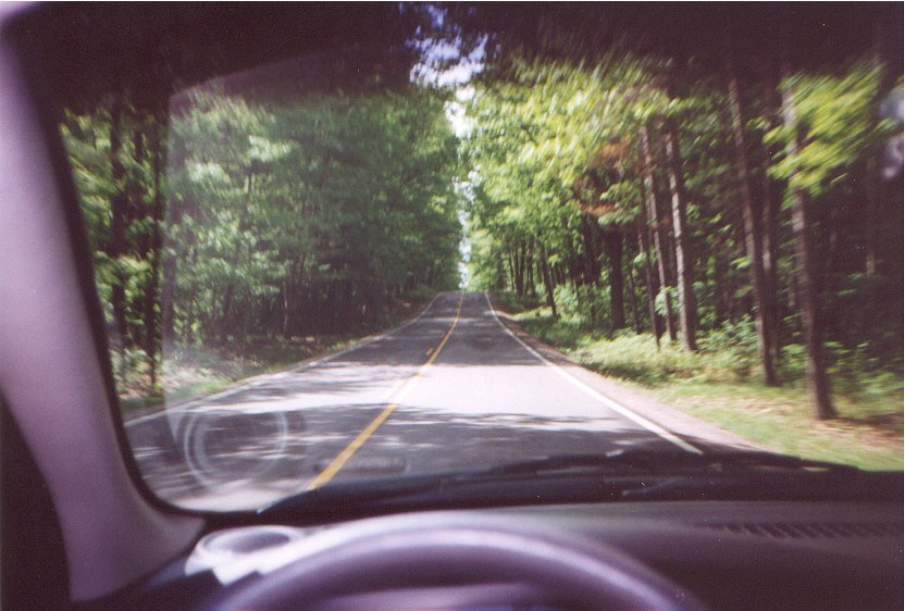 View from inside a car looking out at a paved road lined with trees