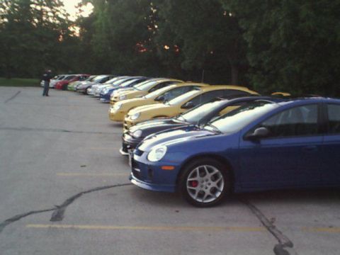 2000 Dodge Neon - A line of cars, including a blue Dodge Neon SRT-4, are parked in a lot. The front of the Neon is visible.