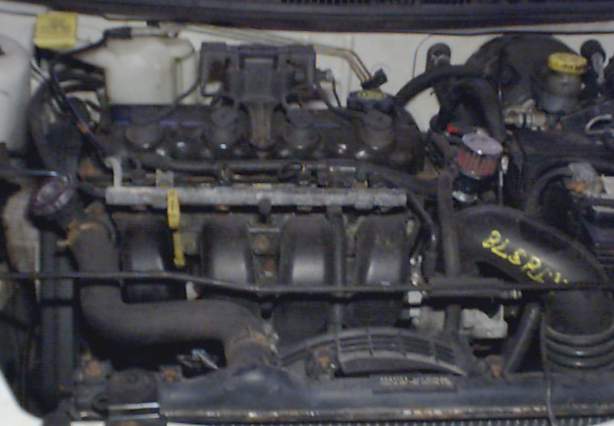 Engine bay with visible text 'BLSP' on a black hose