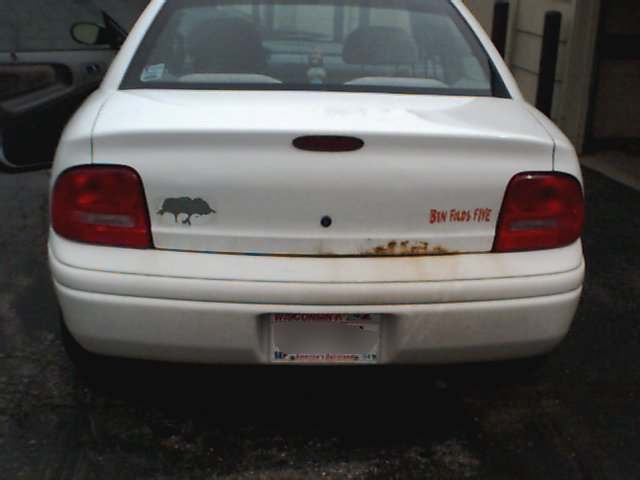 White sedan rear bumper with a tree sticker and red text sticker reading 'BIN Filds FIVE'. Rust is visible on the bumper