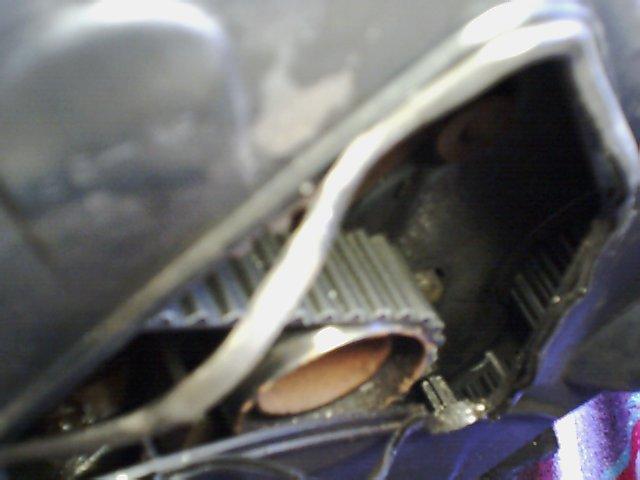 Close-up of a ribbed timing belt and pulley mechanism, likely from an engine bay