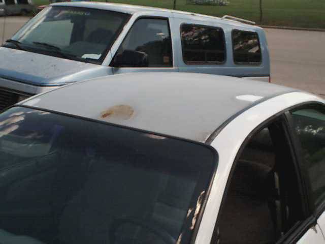 White coupe with rust spot on roof, parked behind a light blue van