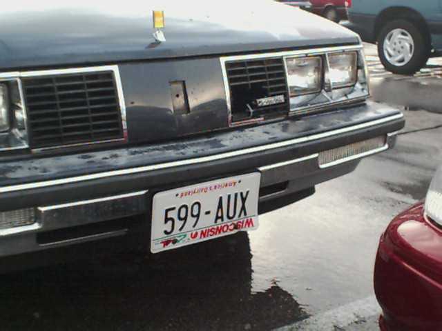Front grille and bumper with license plate 599-AUX