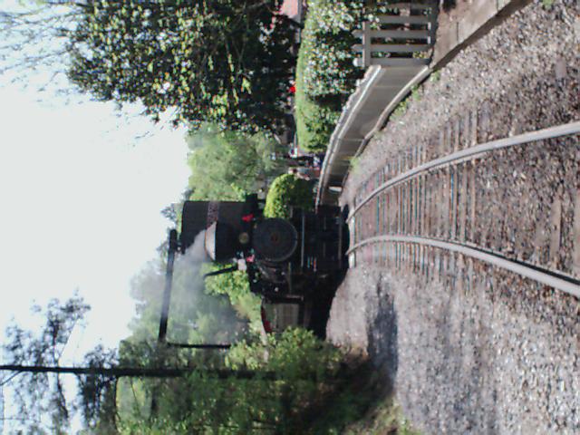 Steam train moving on a curved track through greenery