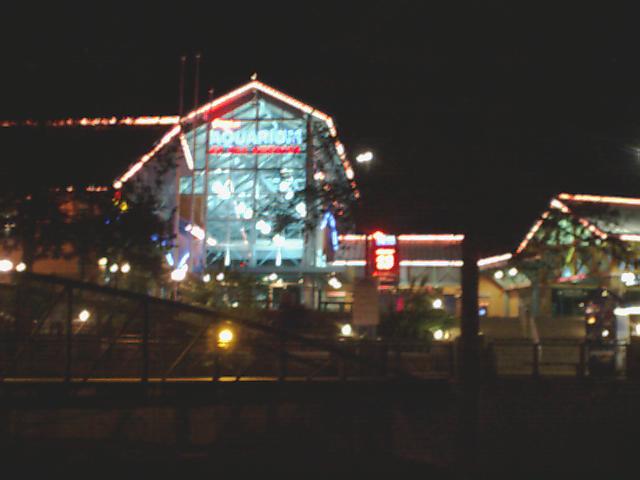 Aquarium building illuminated at night with "AQUARIUM" sign visible