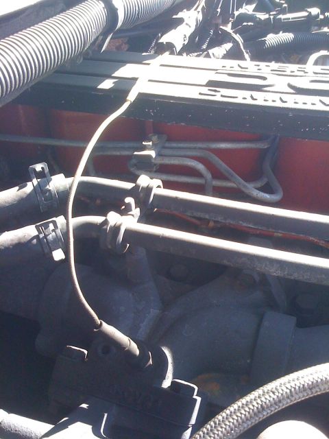 1997 Dodge 3500 - Close-up view of engine components, including hoses and metal tubing.