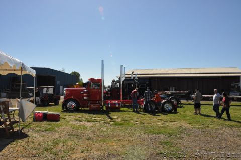 1959 Kenworth W900A “CC925”