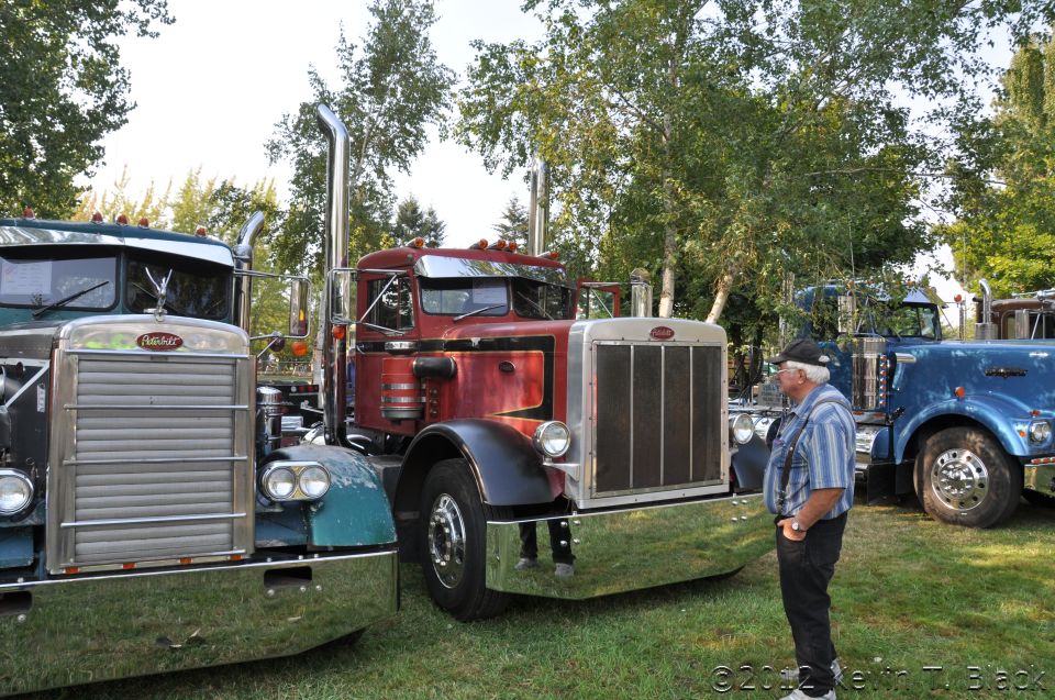 Three semi-trucks parked in a grassy area with trees in the background. A man stands between the first two trucks