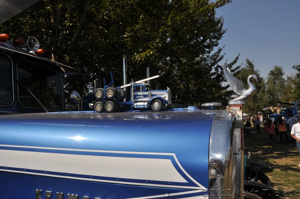 Model truck on hood of a blue semi-truck, with a swan hood ornament on another truck in background